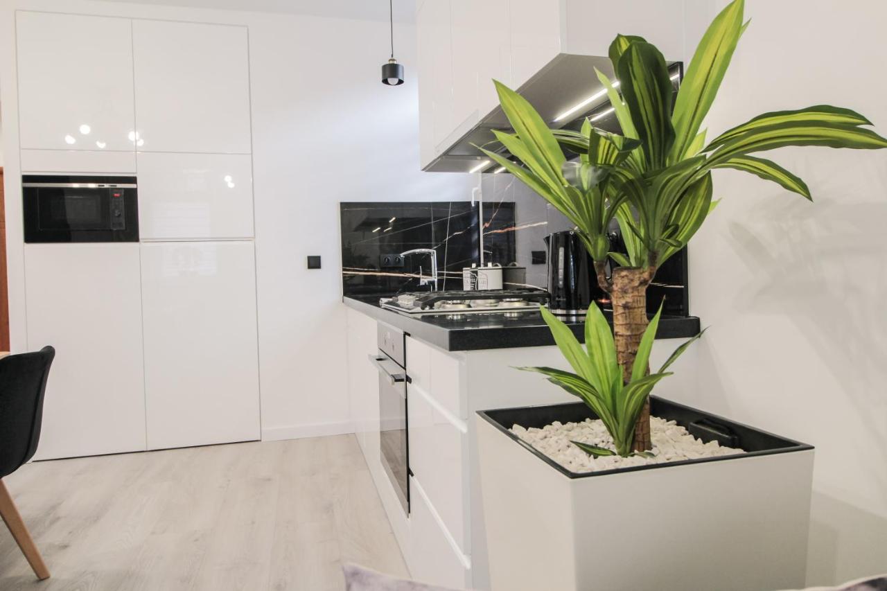 Apartament Zloty Jelen Krynica Zdroj Exterior foto